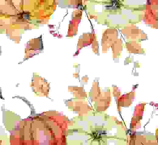 Harvest Tea and Country Dancing